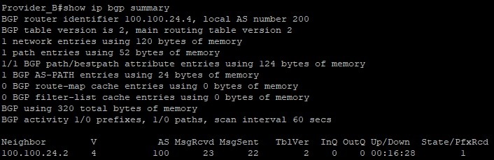 دستور bgp summary